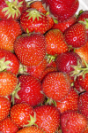 Erdbeeren